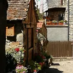 Rural Paloma Daire *