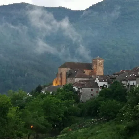 Rural Paloma