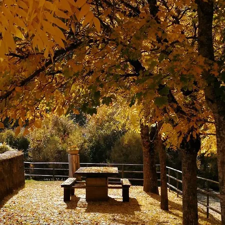 Apartamento Rural Paloma *