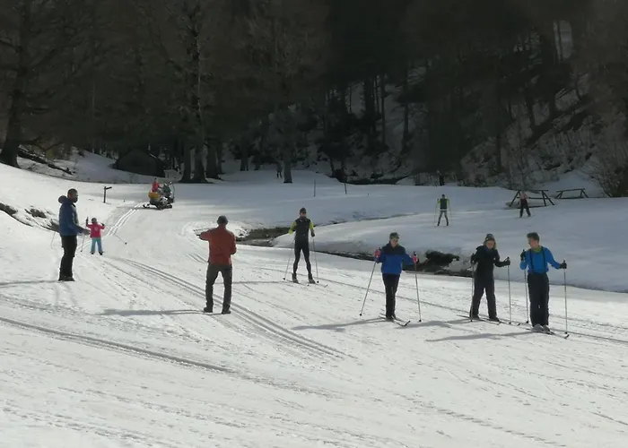 Rural Paloma Appartamento Ansó
